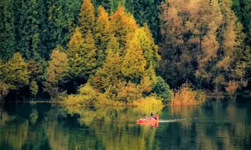 Elegant Woman Lake