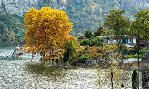 진포산(금불산)