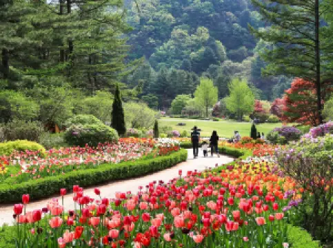 Garden of Morning Calm