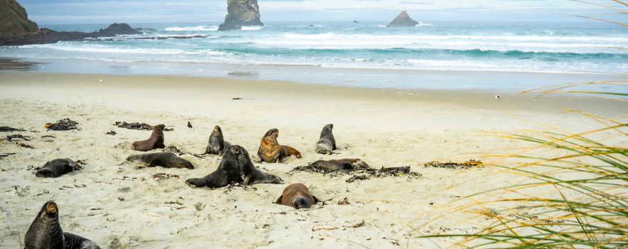 Sandfly Bay Wildlife Refuge