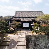 京都中心部の憩いの場