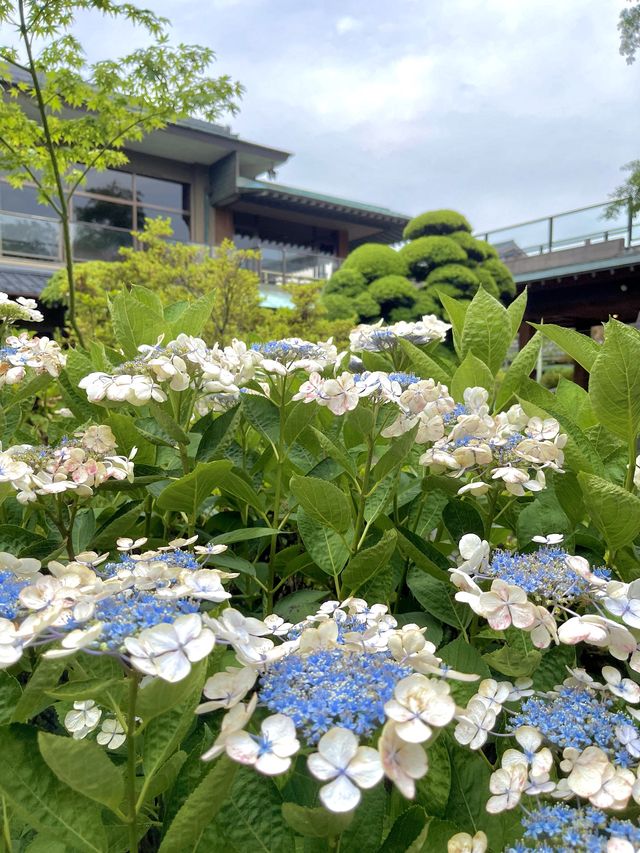 隠れた花の名所