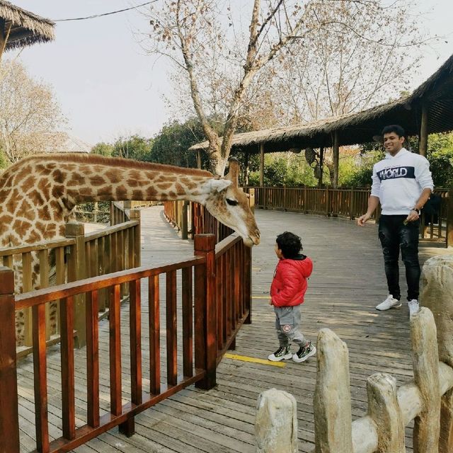 Animal park