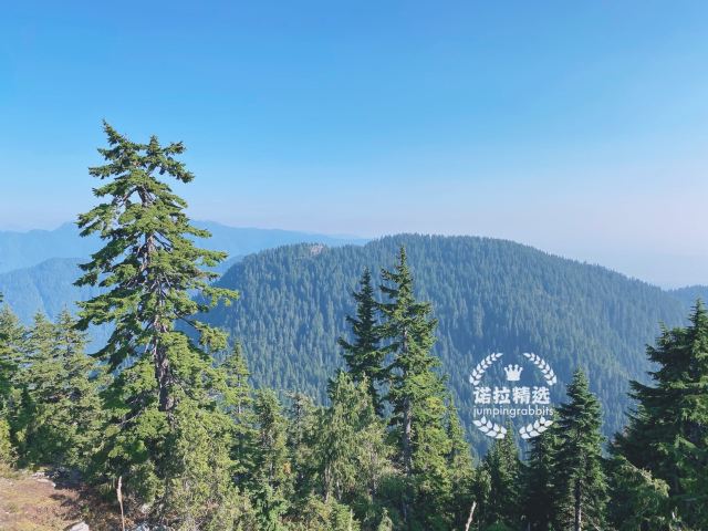 松雞山