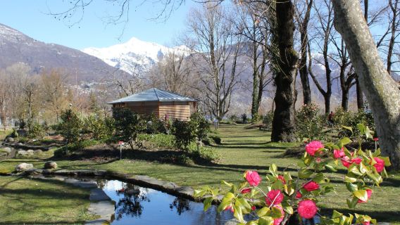 Parco delle Camelie