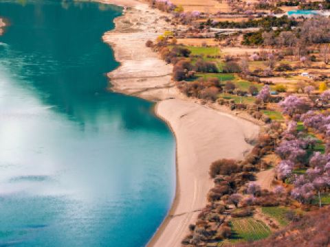 林芝10大最佳酒店排名