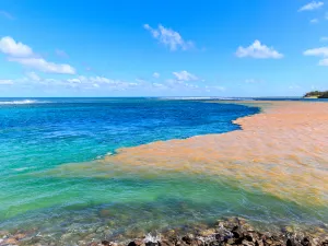 Baie du Cap