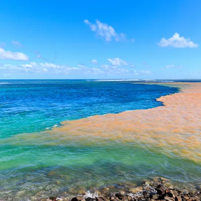 Cape Point Seafront Suites & Penthouse by Lov