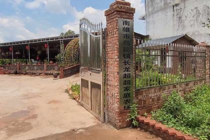 长龙农庄