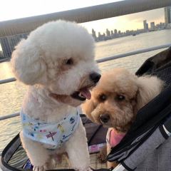 Du Pain et des Idées張用戶圖片