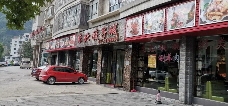 东北饺子城(云宫路店)