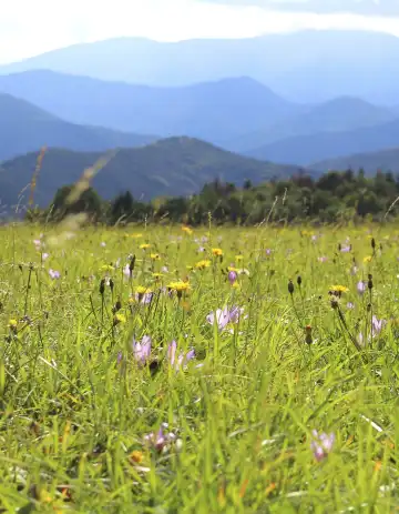 Hotels near Ruisui Ranch