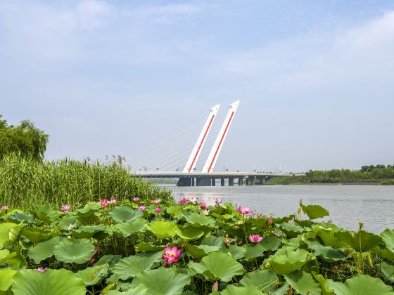 Lianhua Park