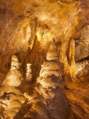 Carlsbad Caverns National Park