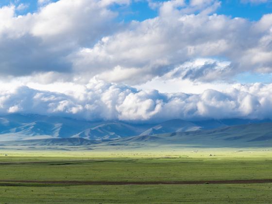 Bayanbulak National Level Wild Animals Type Nature Reserve