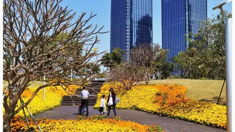 Qianhai Stone Park attraction in Shenzhen