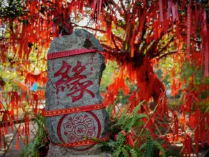 墨江熱門賞秋好去處