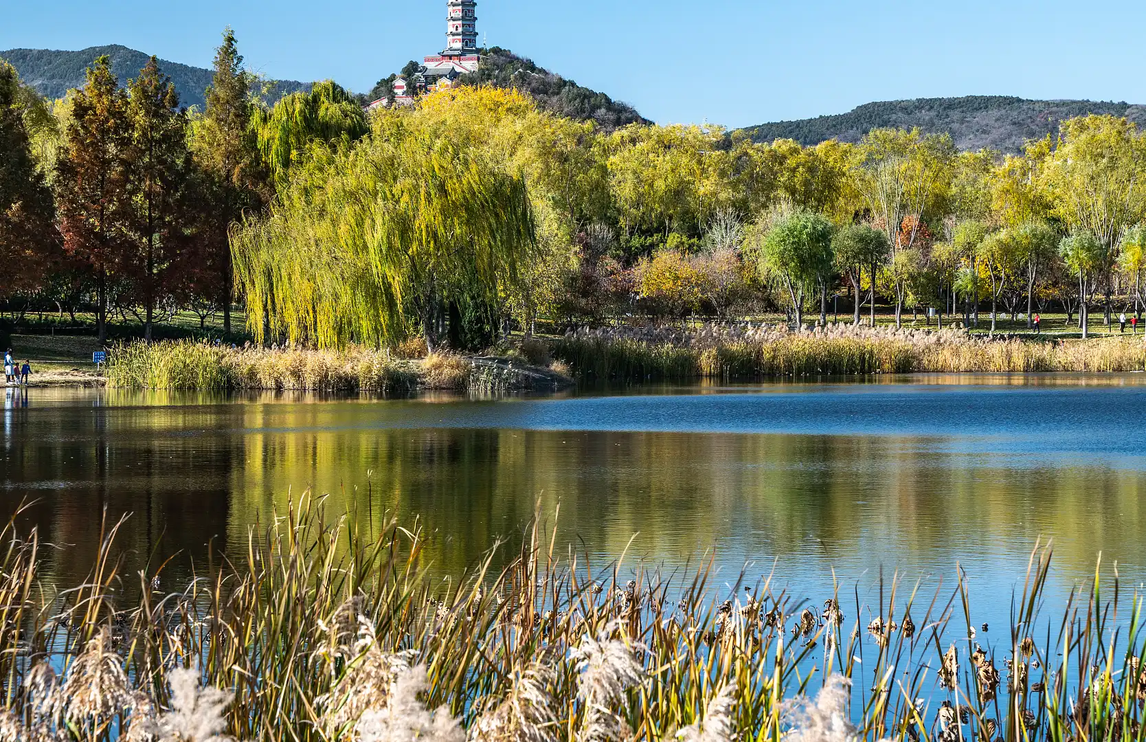 Hotels near Zhongwu Park