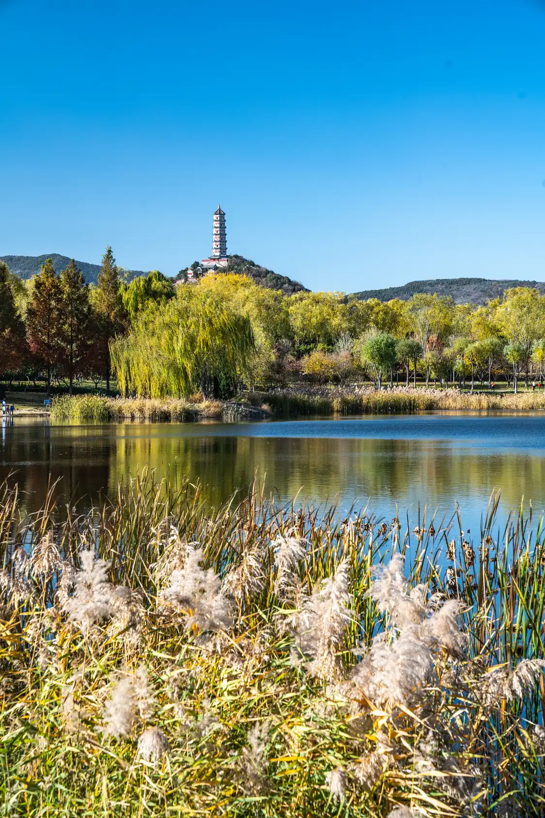 중우 공원 주변 호텔