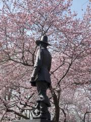 黑鳥山公園