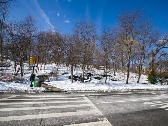 Mont Royal