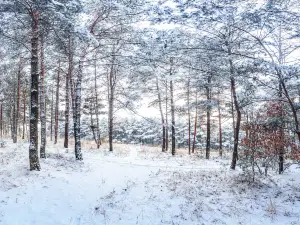 화무거우국가삼림공원