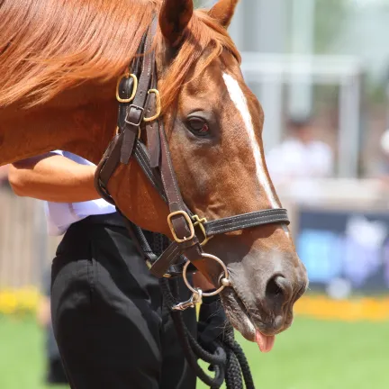 2-звездочные отели в г. Джорджтаун (Кентукки)