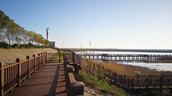Birdwatching Platform