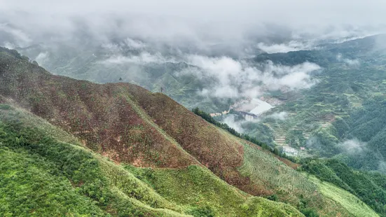 Gutianshan National Nature Reserve