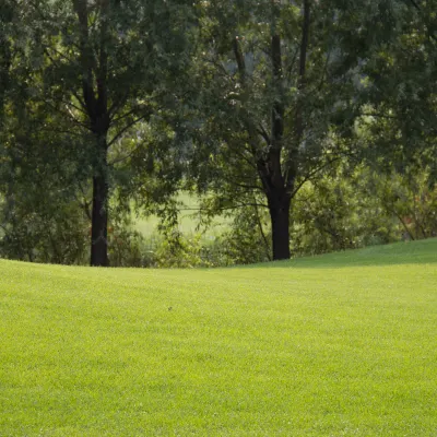 Comfort Hotel Xpress Central Station