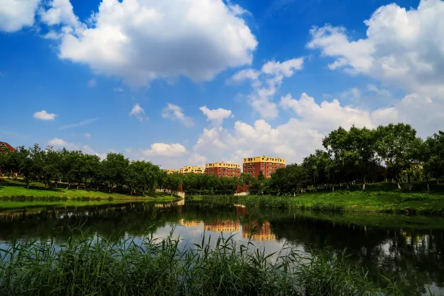 Отзывы об отеле Hyakumangoku Onsen Hotel