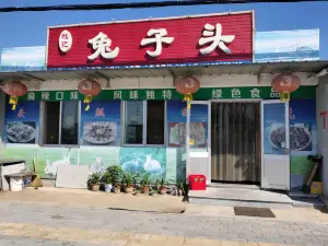 杜记兔子头
