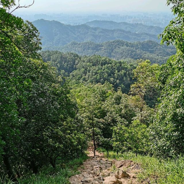 Dajian Mountain(大尖山)