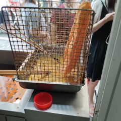 刘琬钰抚州弄口油条摊 User Photo