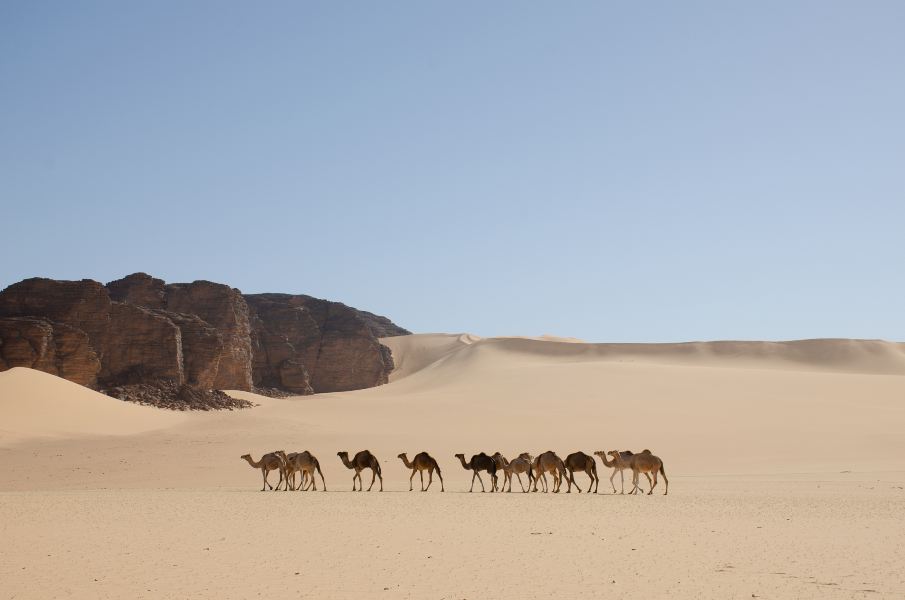 Sfax to Bejaia Flights