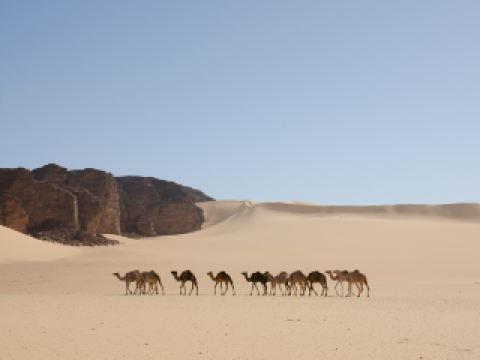 Air Algerie Marseille Béjaïa