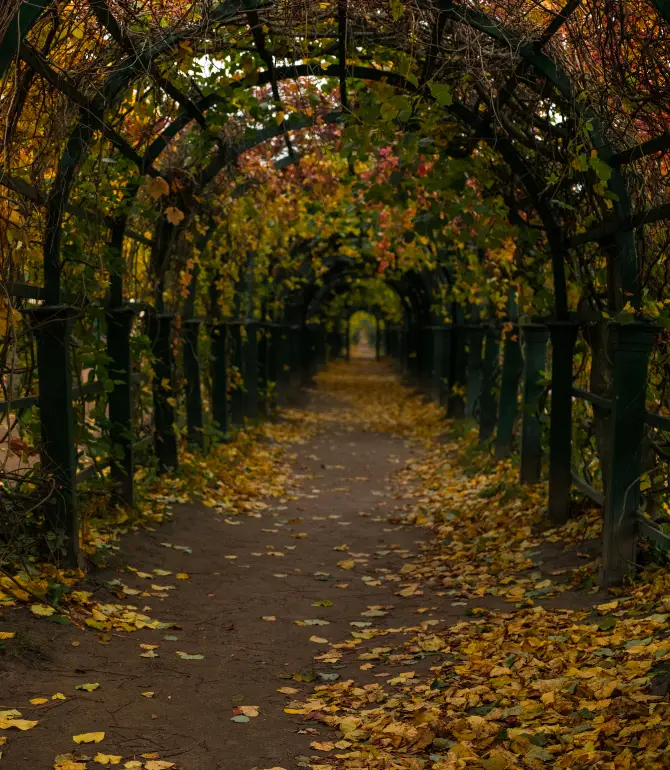 Peterhof