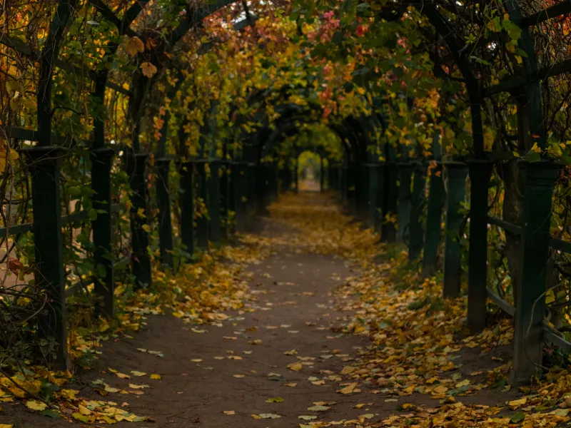 Peterhof