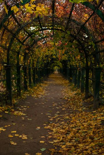 Peterhof