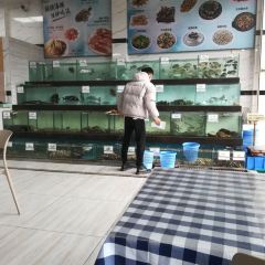 海陵島港邊客棧·港邊海鮮私房菜·刺身張用戶圖片