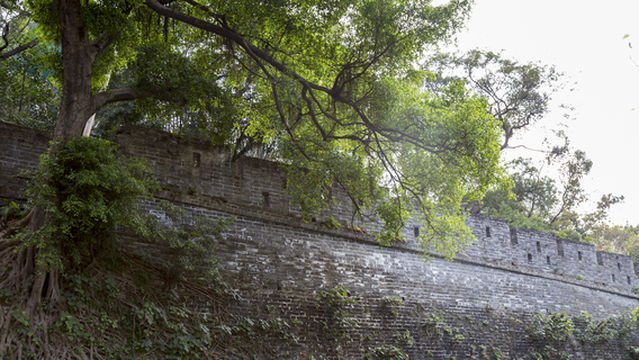 City Wall of Ming Dynasty