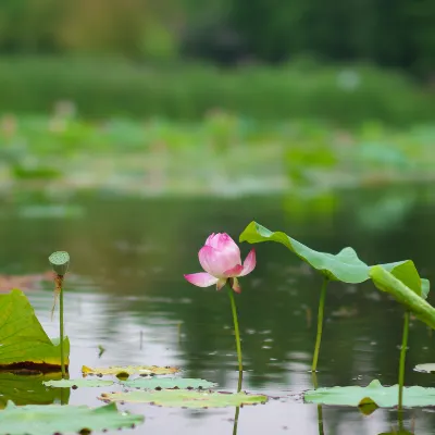 Hotel Floral di Dongtai