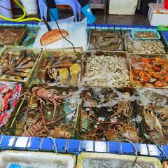 霞湧市場海鮮擺賣市場張用戶圖片