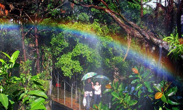 深圳青青世界一日遊