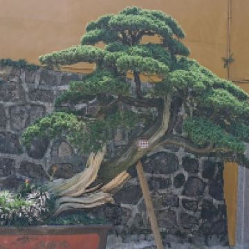 評論圖片 4