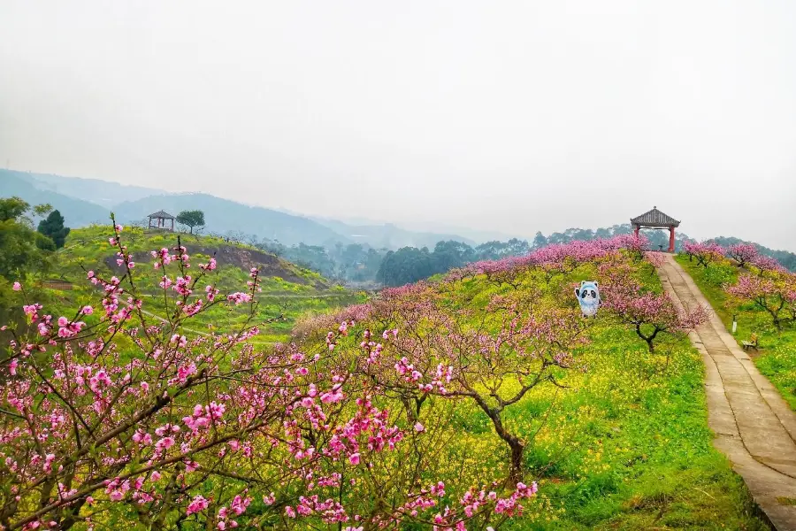 永川桃花源