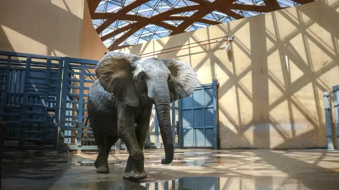 4_Taiyuan Zoo