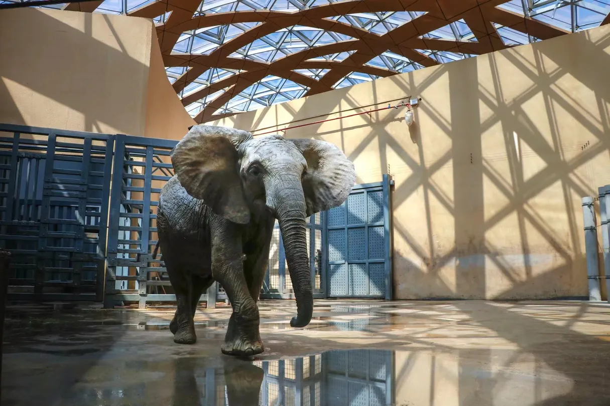 4_Taiyuan Zoo