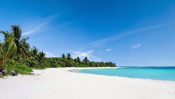 Playa Flamenco Beach