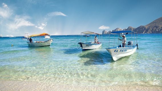Los Cabos
